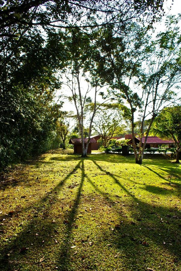 Natural Lodge Cano Negro Zewnętrze zdjęcie